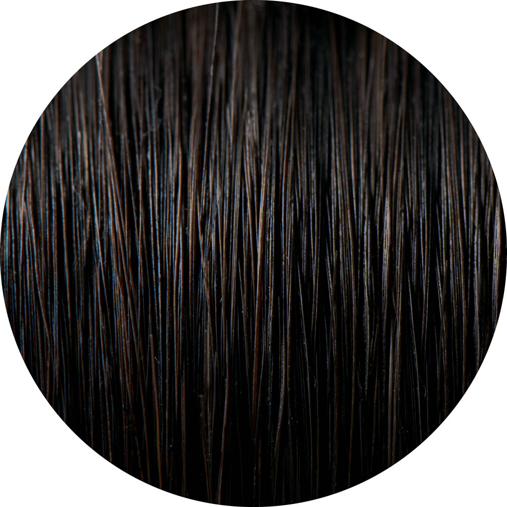 「利尻」ケアシリーズ ヘアカラートリートメント 200g ヘアケア CA6512