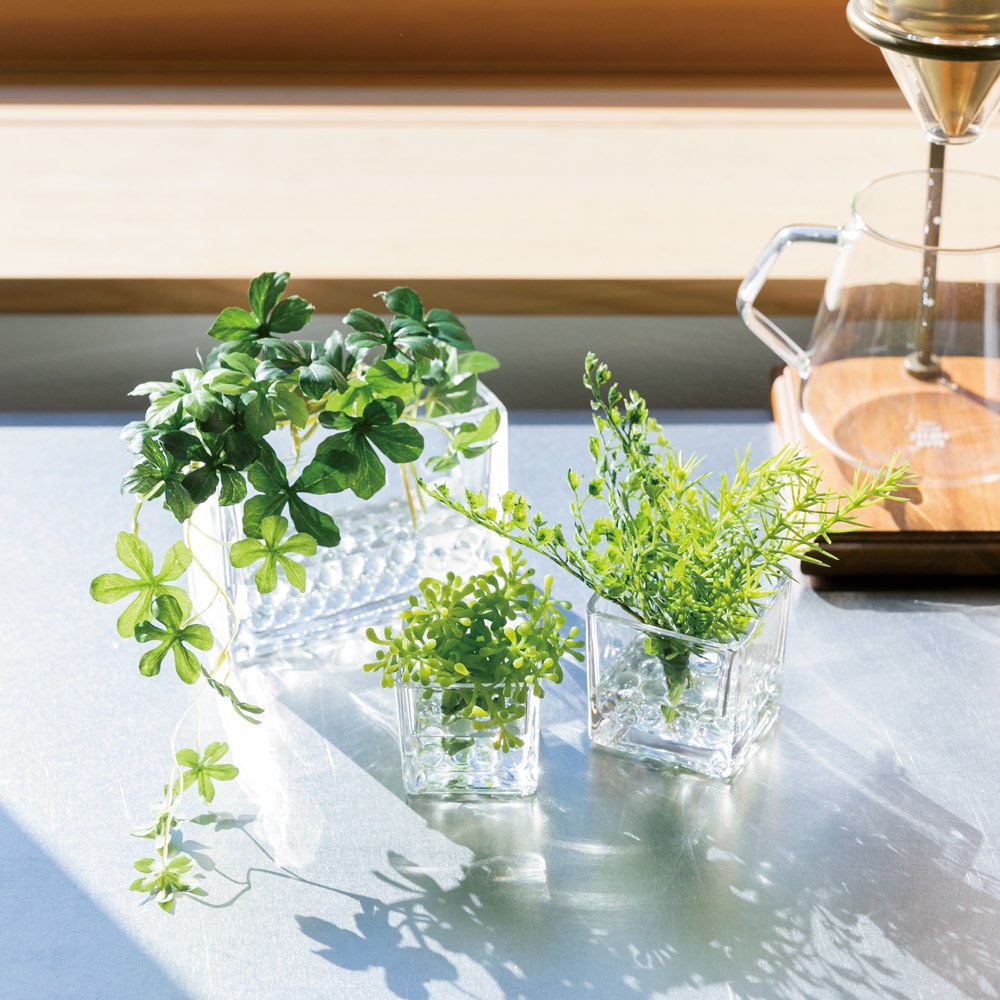 マジックウォーターのグリーン3点セット 通販 ディノス