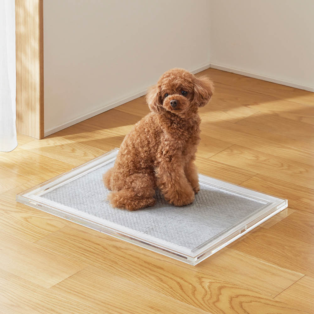 犬用トイレトレイ 透明アクリル製 アクリル ペットトイレ シートトレー 通販 - ディノス