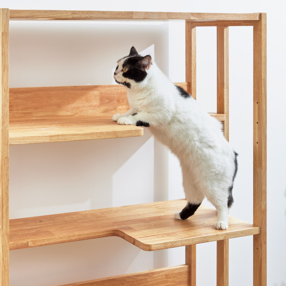 ねこさんラック dショッピング |天然木の 猫も遊べる オープンラック 幅63cm 猫と