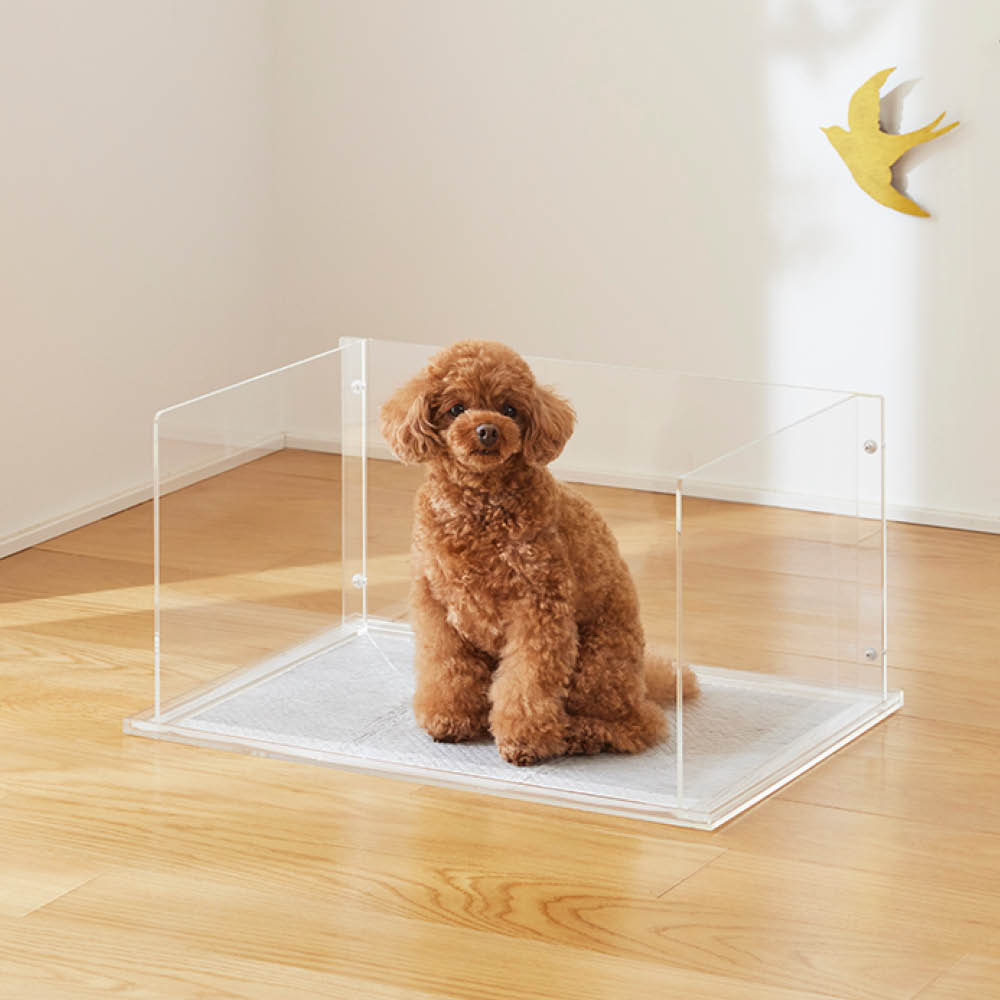 ペット　トイレトレー（犬用） アクリル製 約82cm x 45cm x 26cm アクリルペットトイレトレー 通販 - ディノス