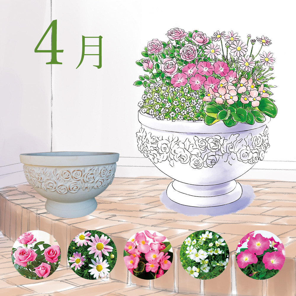 毎月届くお花の頒布会 らくらく華やかガーデンコース 21年4月 21年9月 通販 ディノス