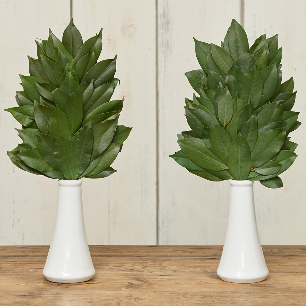 水やり 水かえ不要のプリザーブド加工 榊 さかき 一対 Lサイズ 通販 ディノス