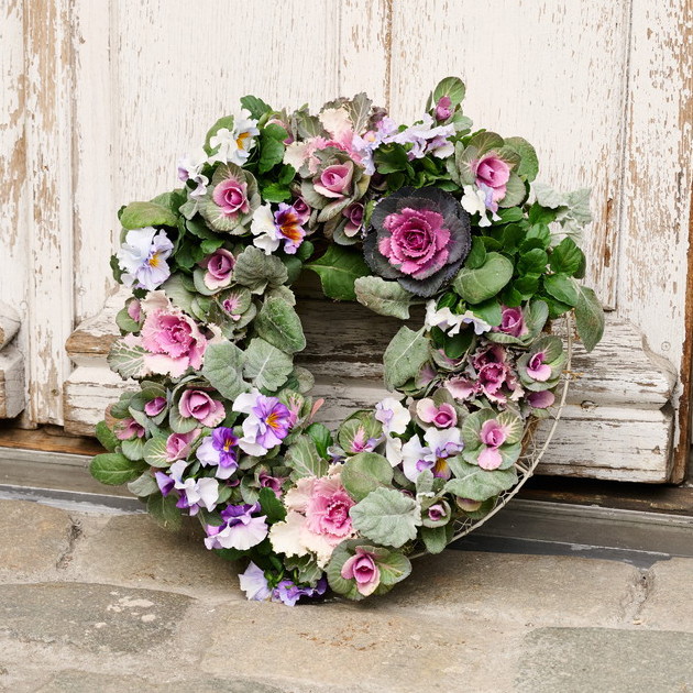 寄せ植え　ミニ ハボタン　リース仕立て (スタンド付)　葉牡丹　ハンギングリース 寄せ植え ミニ ハボタン リース仕立て (スタンド付) 葉牡丹 ハンギング