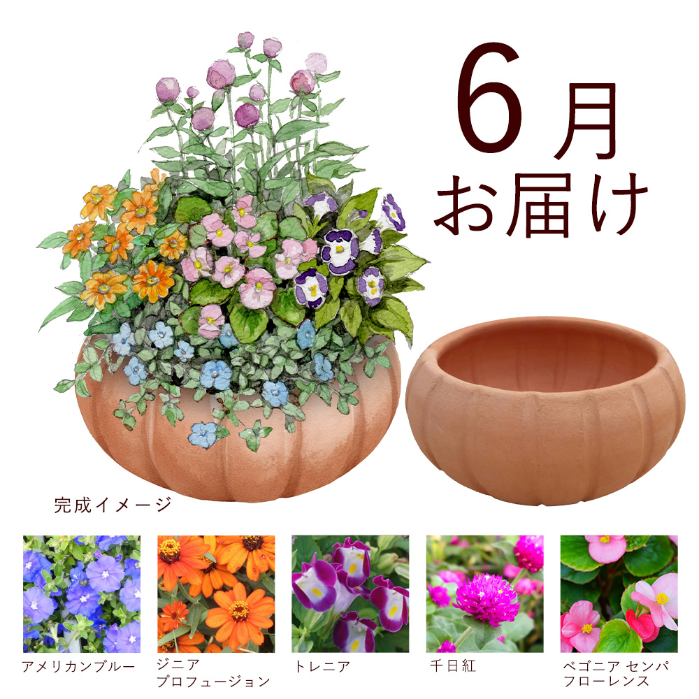 FLF401c1.jpg
