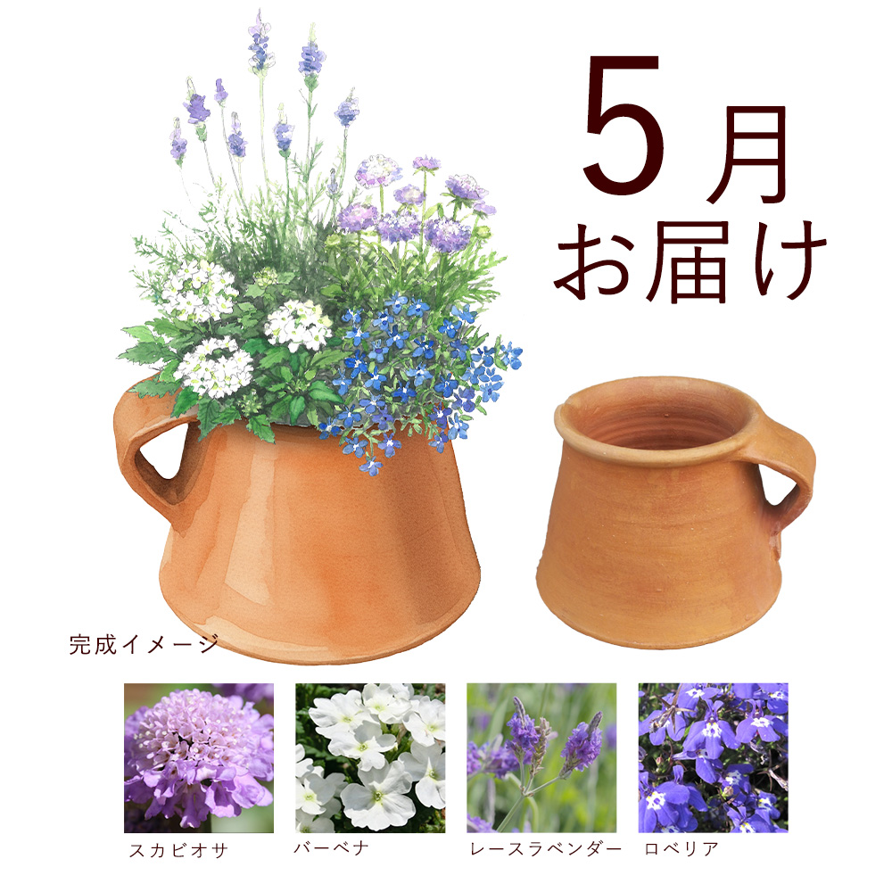 毎月届くお花の頒布会】ガーデニングチャレンジ 寄せ植えガーデン