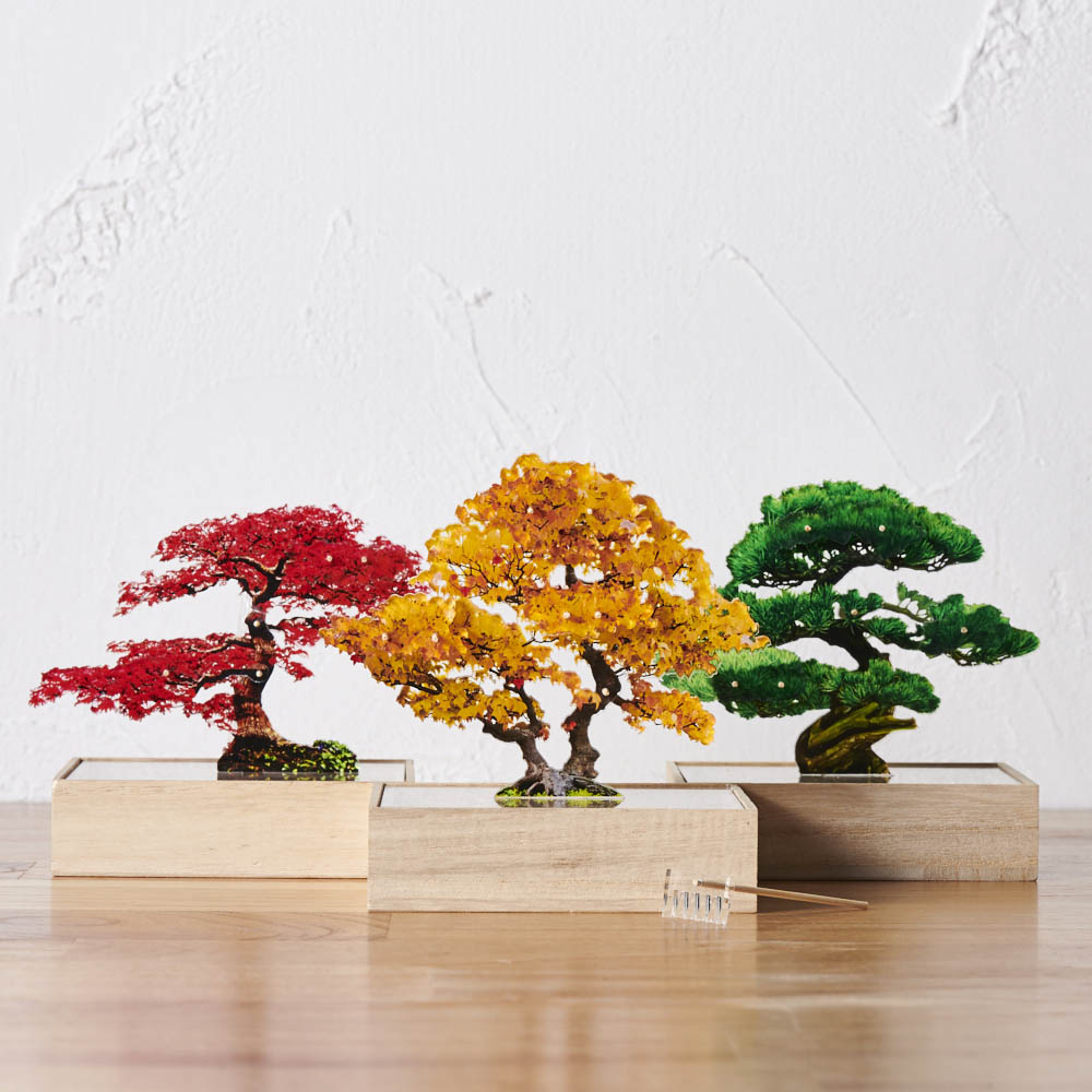 Toumei トウメイ 盆栽 通販 ディノス