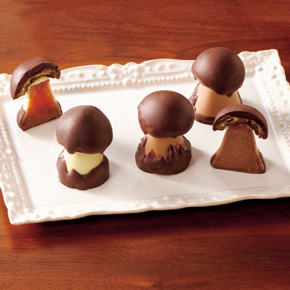 フランス「CLUIZEL/クルイゼル」シャンピニオン・アソルティモン 2種5