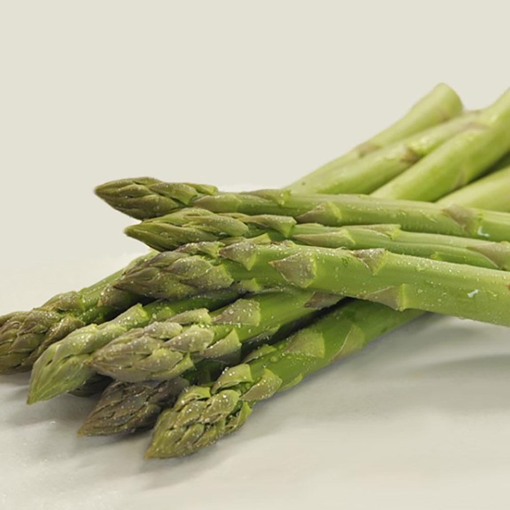 福島産 田中さんの「グリーンアスパラガス」 600g【7月中旬頃〜お届け】 通販