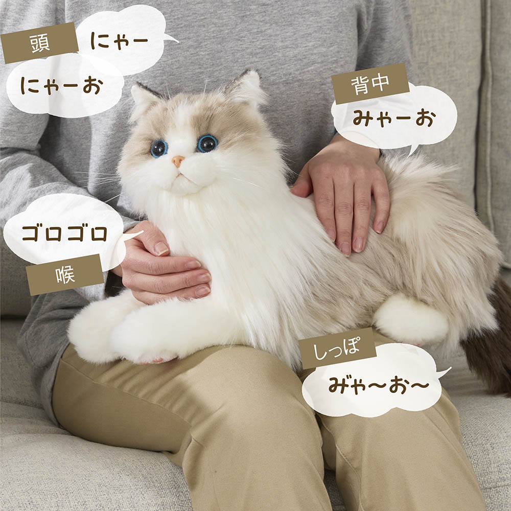 なでなでネコちゃん ラグドール ディノスANAmall店