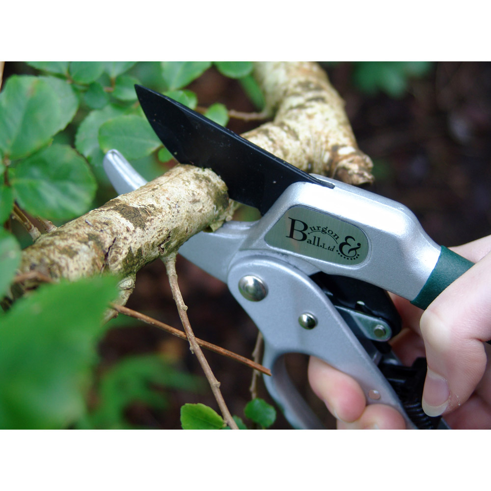 Burgon Ball バーゴン ボール ラチェットプルーナー 枝用園芸ハサミ Rhs Ratchet Pruner 通販 ディノス