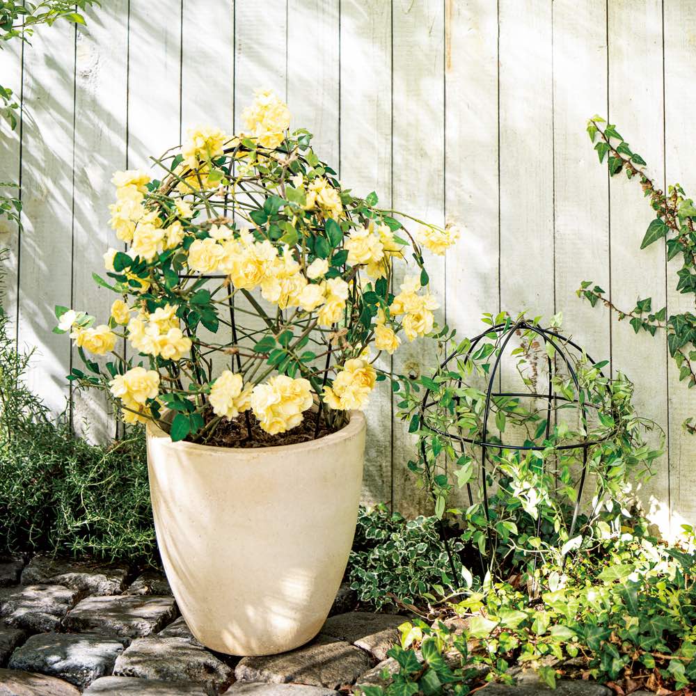 ラウンドオベリスク2個組 ECB728