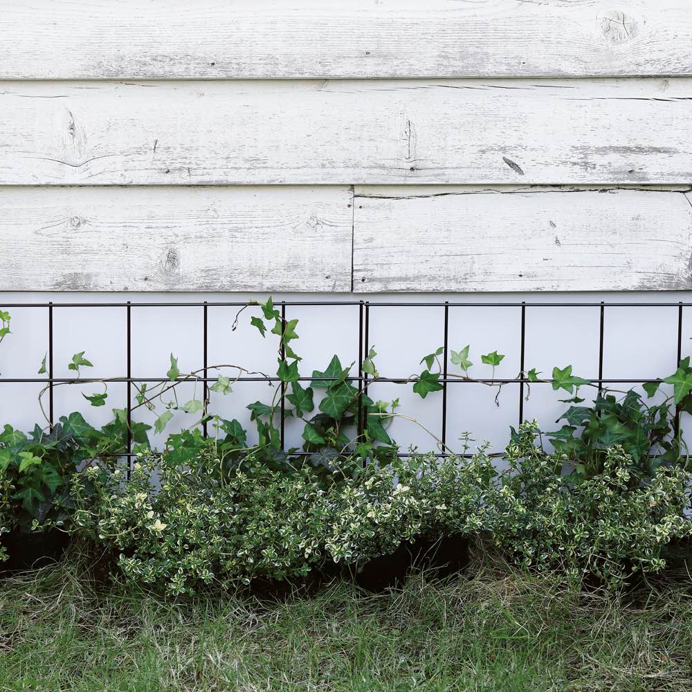 基礎隠しフェンス3枚組 通販 - ディノス