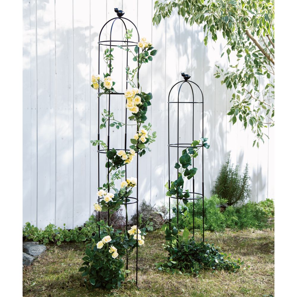 コトリのオベリスク 高さ110cm 通販 - ディノス