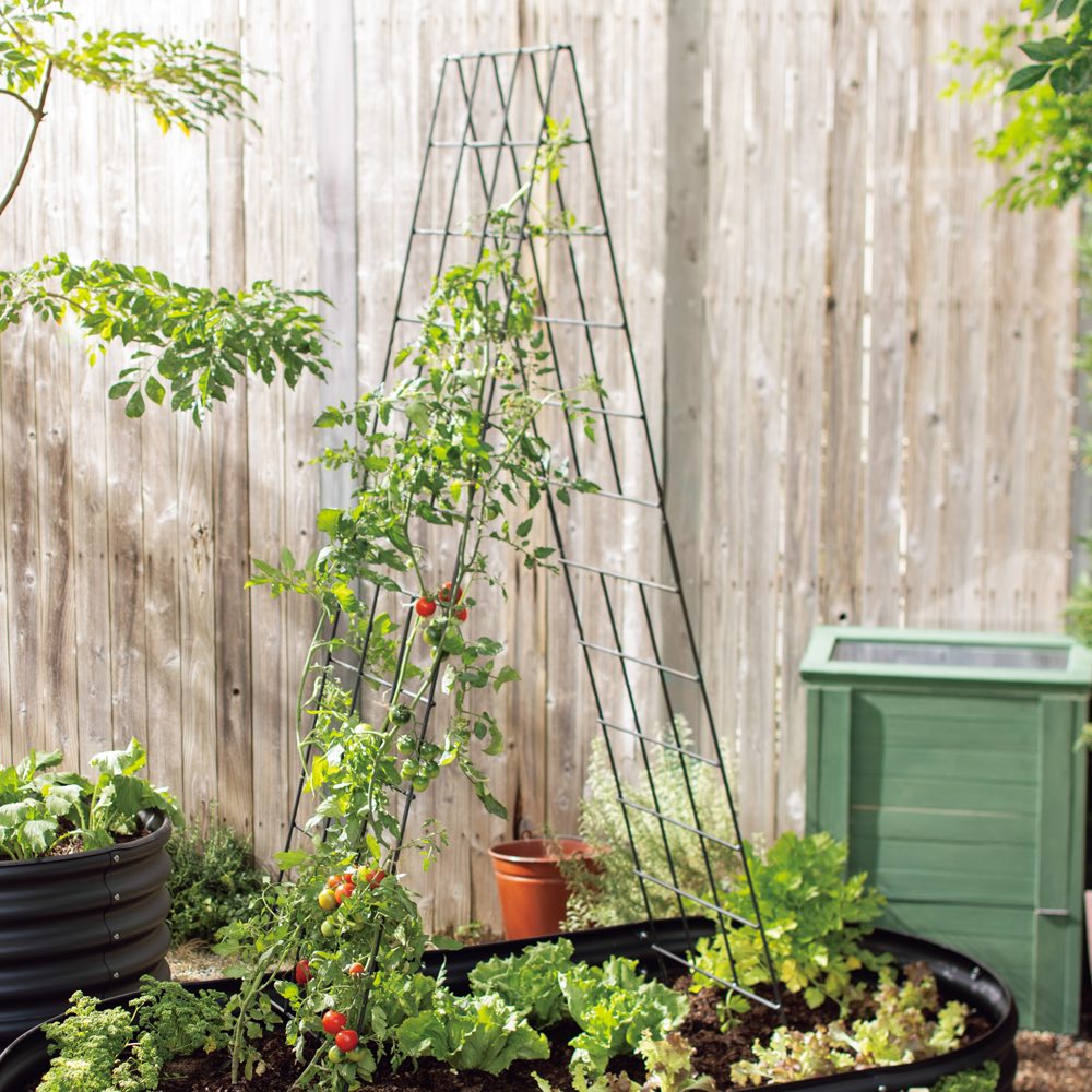 頑丈2WAYトレリス 高さ200cm 2枚組 通販 - ディノス