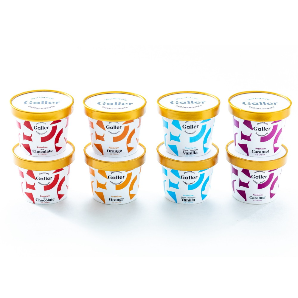ガレーアイス8個セット アイスクリーム シャーベット 氷菓 スイーツ お菓子 N95044