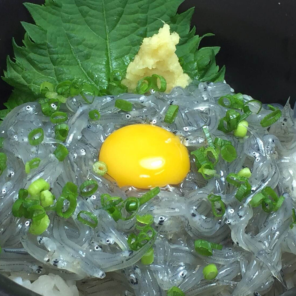 しらすといくら 冷凍生しらす100g×2p | [和歌山]釜揚げしらすと海産物の通販