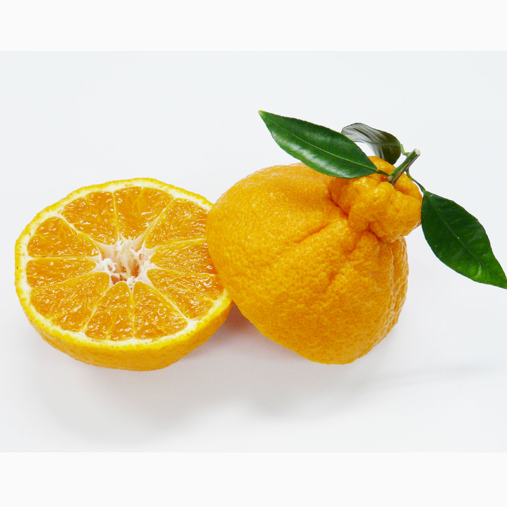 広島産 自然熟葉付「デコポン」 3kg【3月中旬-3月下旬頃お届け】 フルーツ 野菜 果物 NH1170