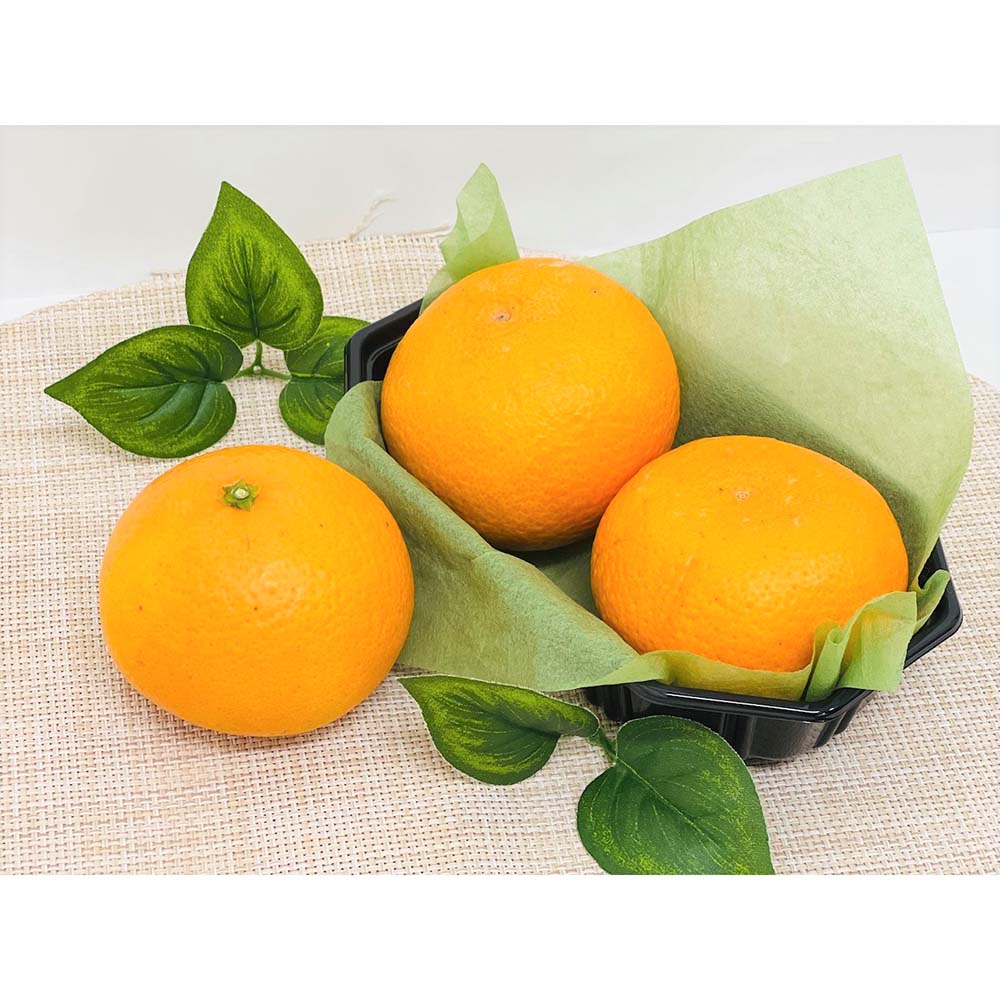 愛媛・西宇和産 清見タンゴール「蜜る」 5kg 【3月中旬頃-お届け】 フルーツ 野菜 果物 NH1552