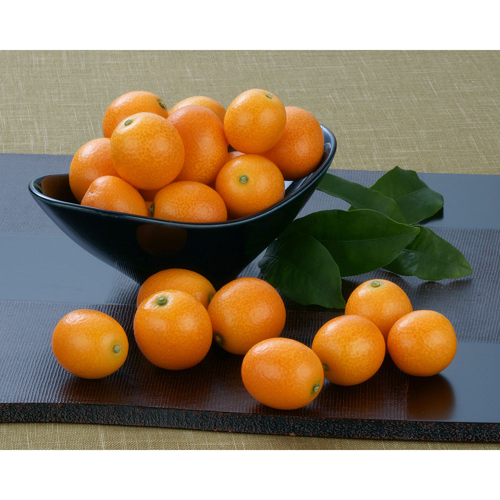 宮崎産 完熟金柑「たまたま」 1kg 【2月上旬頃-中旬頃お届け】 フルーツ 野菜 果物 NH1554