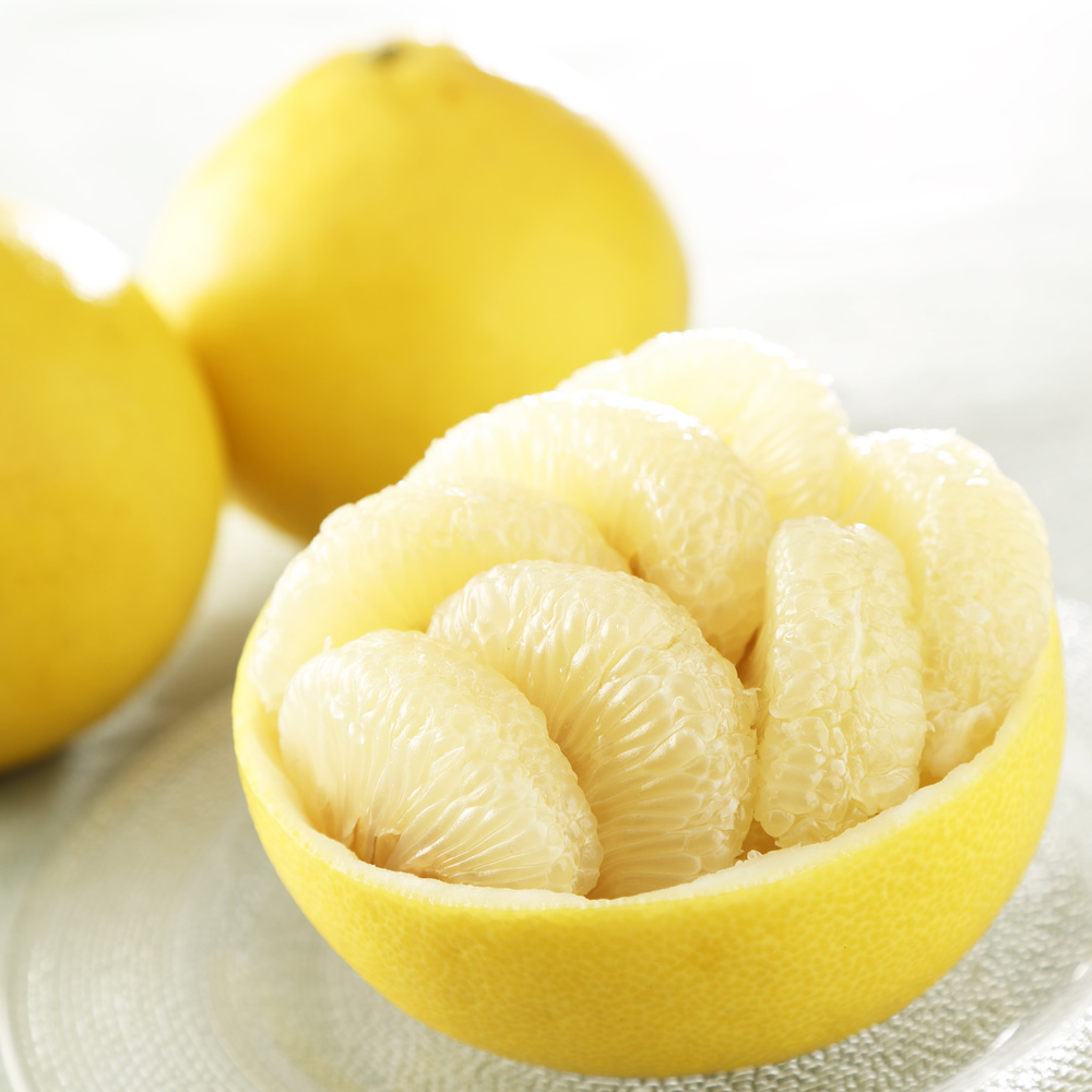 高知・宿毛産 越冬樹上完熟「土佐文旦」 9kg 【2月下旬-3月下旬頃お届け】 フルーツ 野菜 果物 NH1557