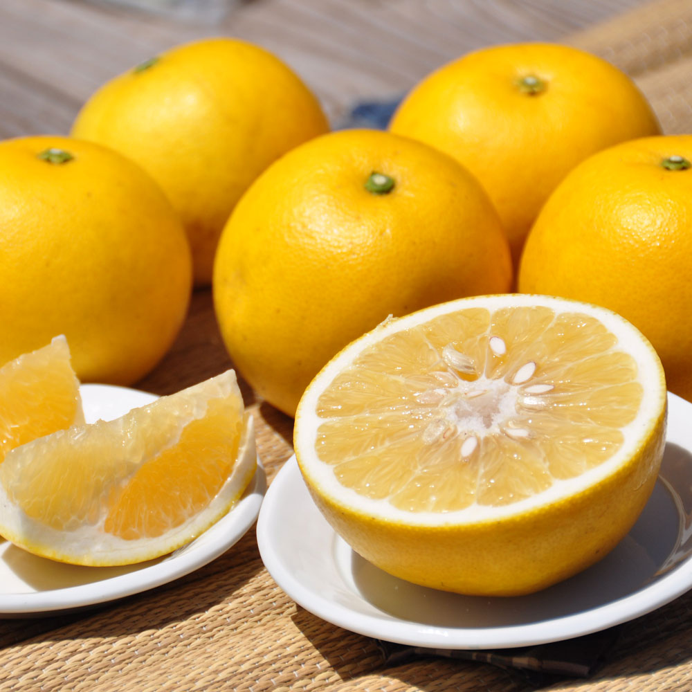 宮崎産 グレープフルーツ 4kg 【4月下旬-5月上旬頃お届け】 フルーツ 野菜 果物 NH1558