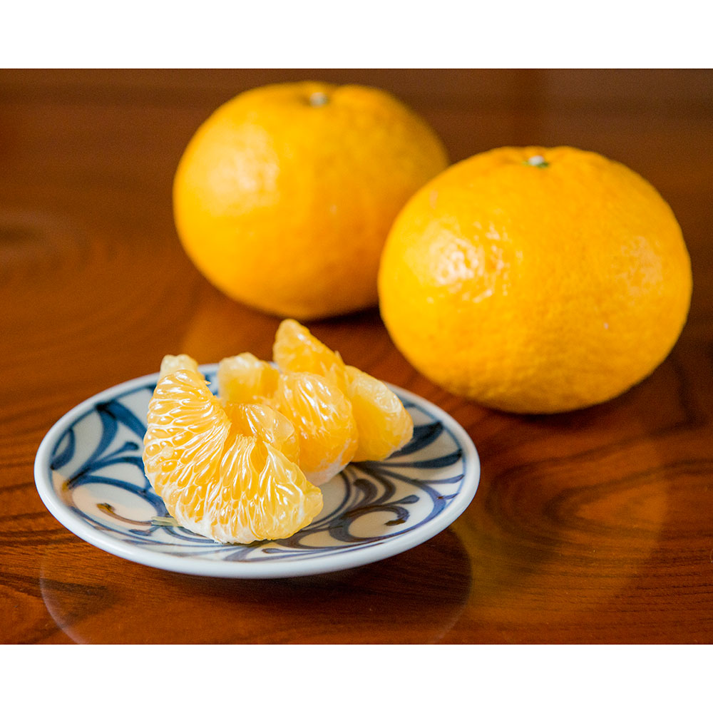 愛媛産 無茶々園 有機「甘夏」 4kg 【3月下旬頃-お届け】 フルーツ 野菜 果物 NH1564