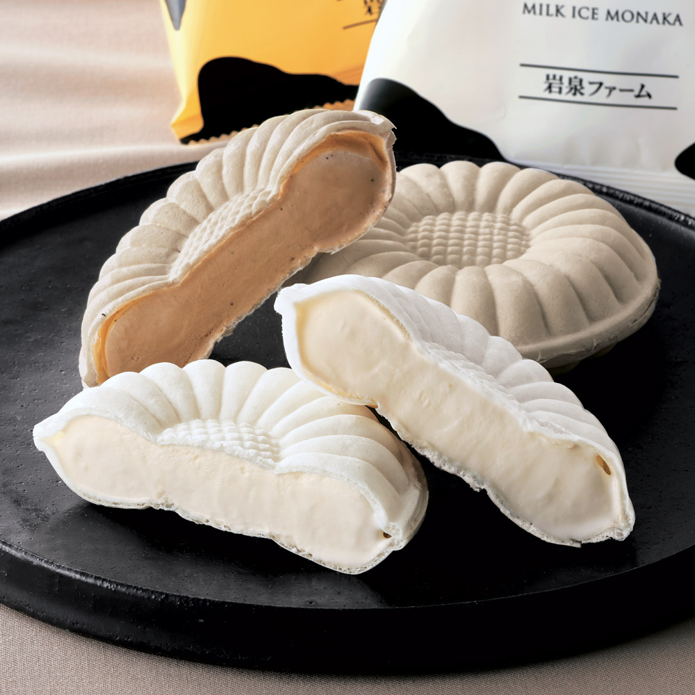 【父の日ギフト】岩泉ファーム 牛乳アイスモナカ ※父の日仕様 （2種計10袋） アイスクリーム シャーベット 氷菓 スイーツ お菓子 NH1865