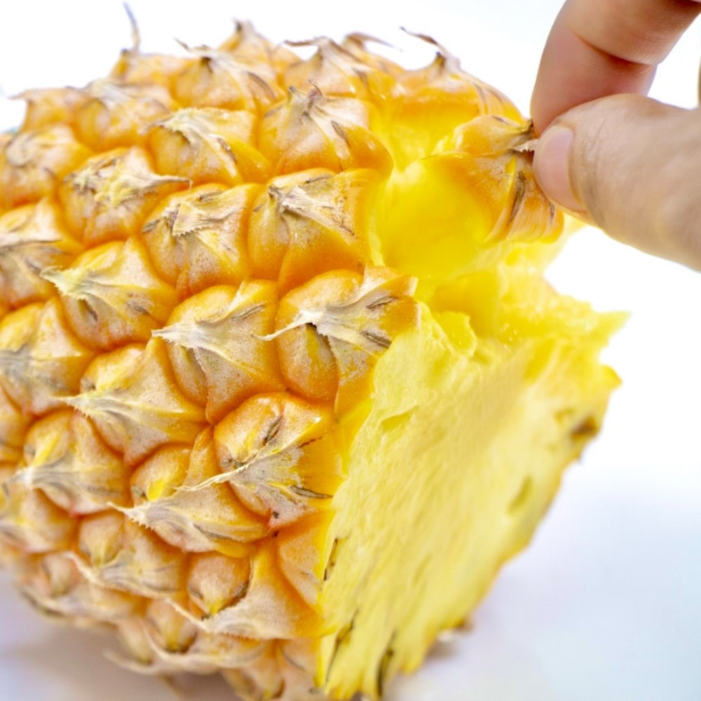 【父の日】沖縄産 「ボゴールパイン」 1.5kg フルーツ 野菜 果物 NH1881