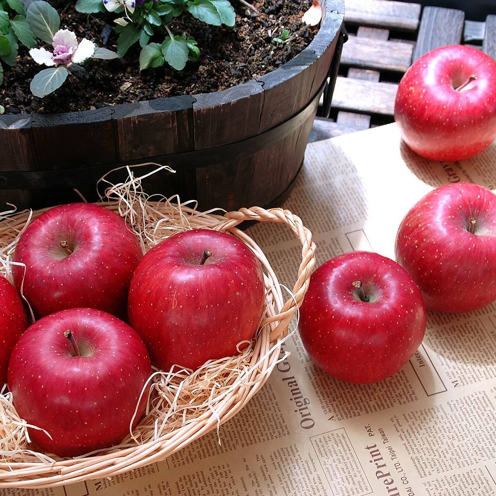 山形産 早生ふじ 3kg【9月下旬頃-お届け】 フルーツ 野菜 果物 NH2190