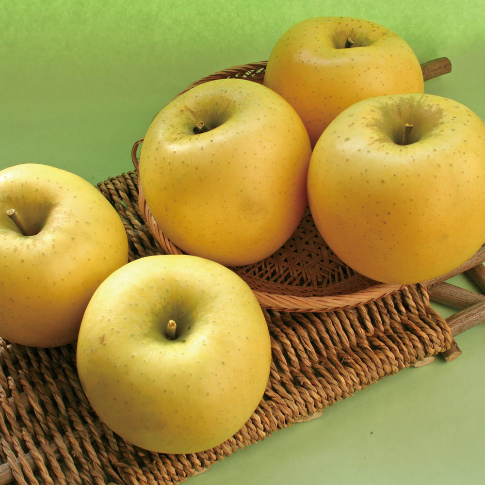 山形・朝日町産「シナノゴールド」 2kg【10月下旬頃-お届け】 フルーツ 野菜 果物 NH2195