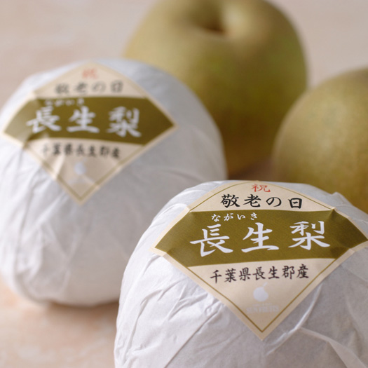 【敬老の日】千葉産 長生（ながいき）梨 1.7kg フルーツ 野菜 果物 NH2214