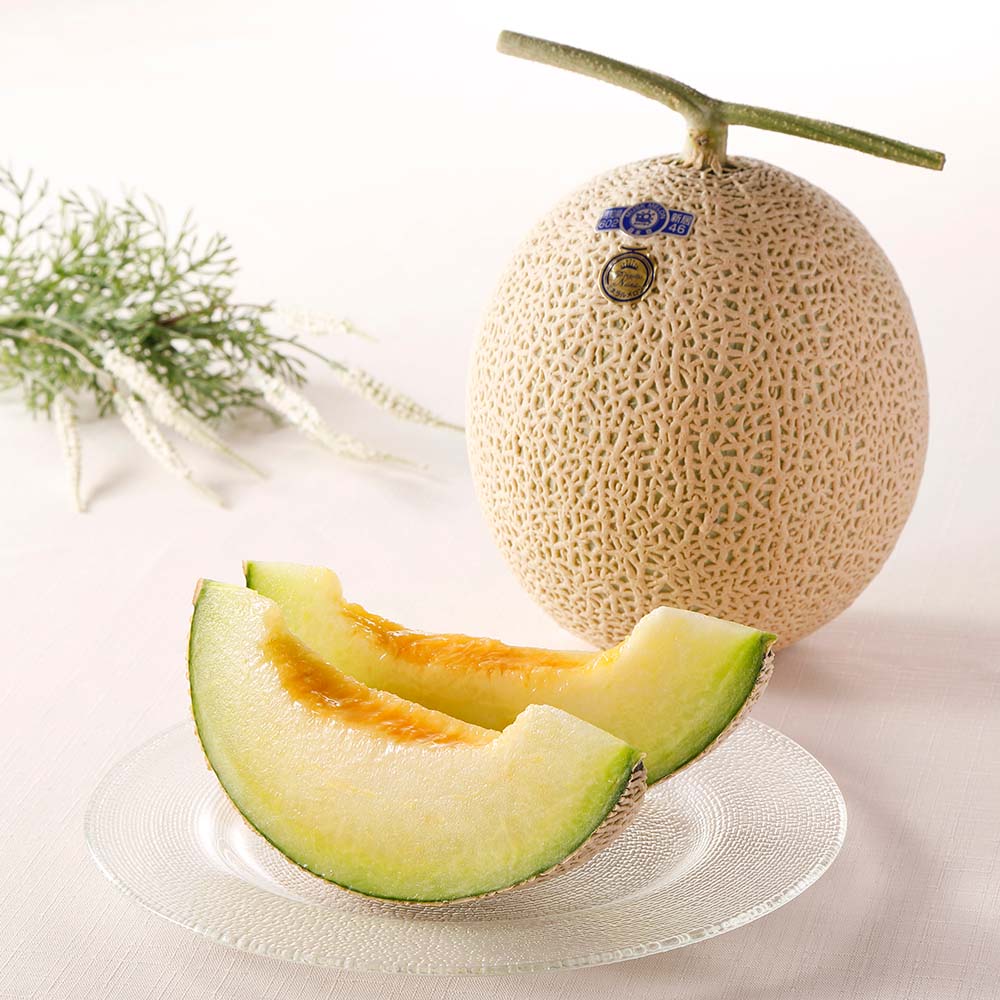 【お歳暮】高知産 アールスメロン「プリンセスニーナ」1玉【12月上旬頃-お届け】 フルーツ 野菜 果物 NH2451