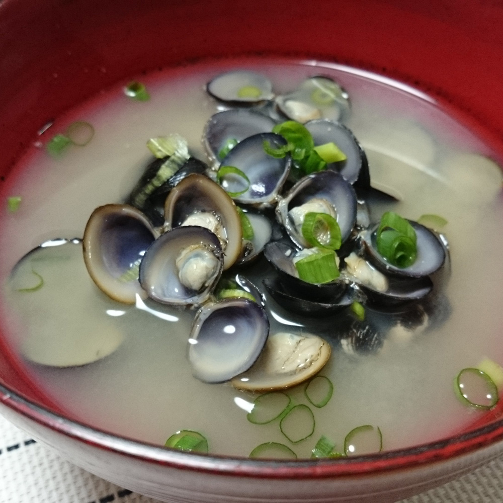 業務用食材 食品 クニヒロ 宍道湖冷凍しじみ 1kg 通販 ディノス 業務用食材 食品 クニヒロ 宍道湖冷凍しじみ 1kg 通販 ディノス