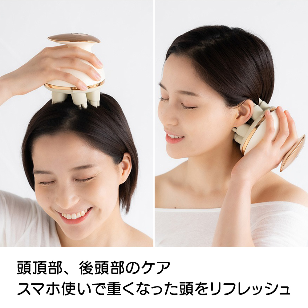 ヘアケア器具 美容 いいものプレミアム フェイスケア ... - dショッピング