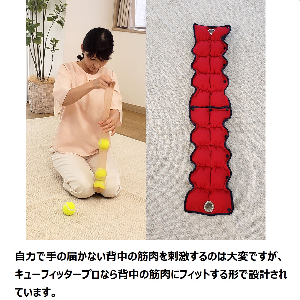 キューフィッタープロ レッド キューフィッタープロ ディノス キューフィッタープロ レッド キューフィッタープロ ディノス