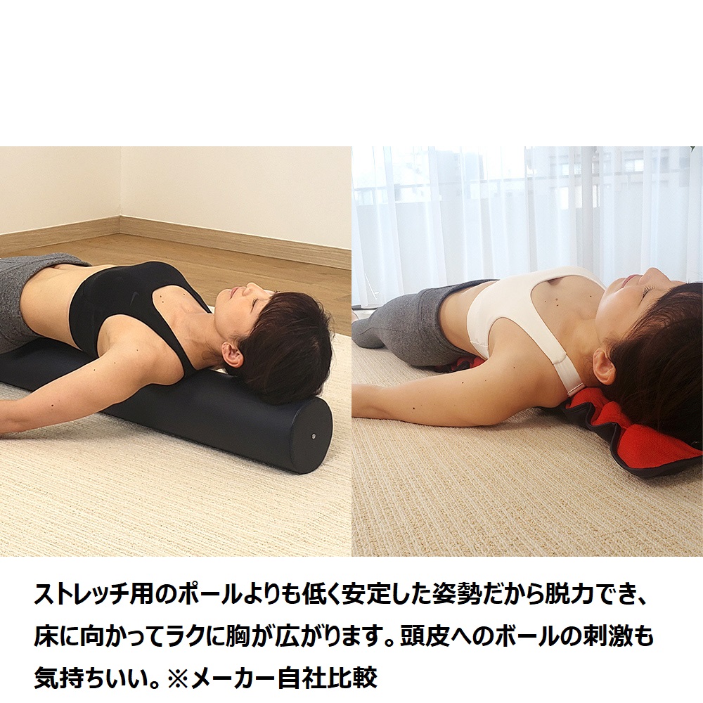 フィットネスクラブが つくった キューフィッターPro 家庭用