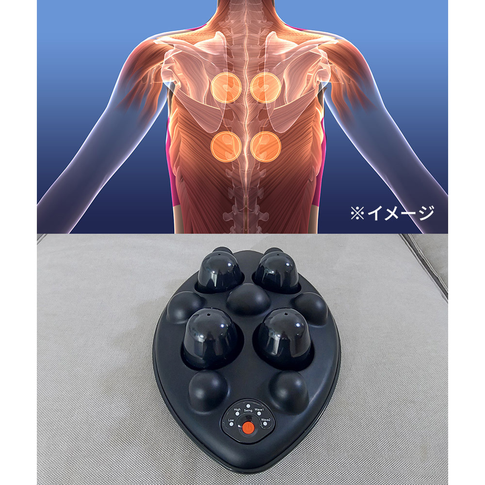 スリムビューティPAD（パッド） ディノスANAmall店