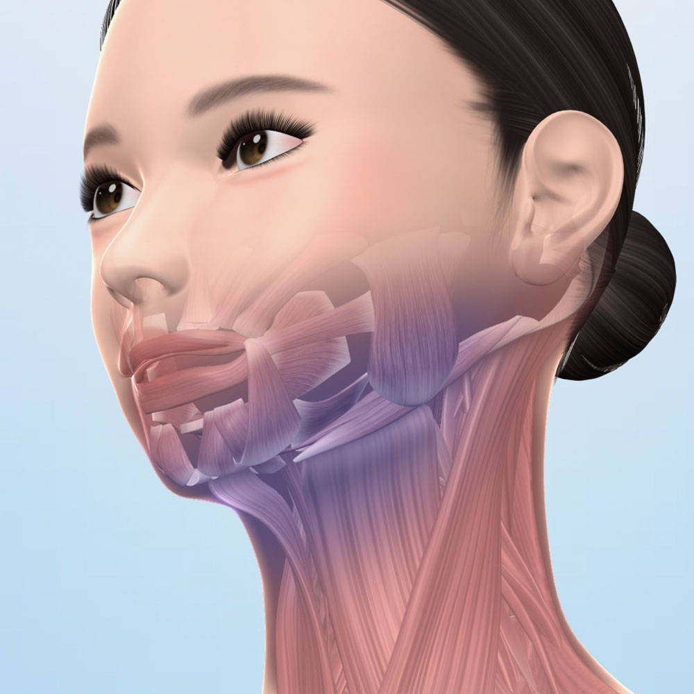 スタイリーフェイス ディノスANAmall店