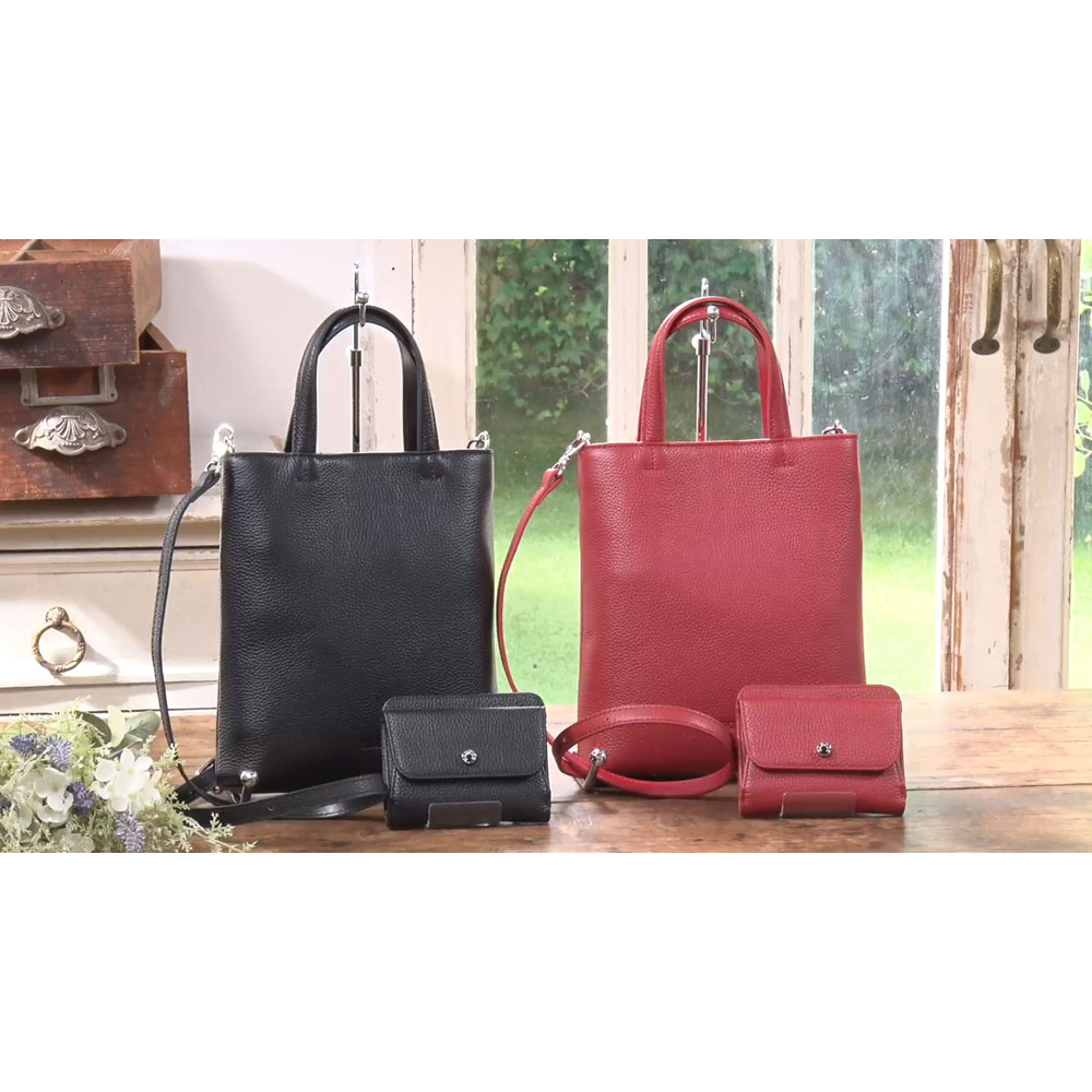 BARCOS/バルコス 2way牛革手ぶらバッグ&スリムウォレットセット ショルダーバッグ 財布 セット レディース 牛革 2way ミニバッグ 斜め掛け 小さめ 軽量 コンパクト ミニ財布 ウォレット プレゼント 旅行 通勤 おしゃれ 鞄 婦人雑貨 AR2795