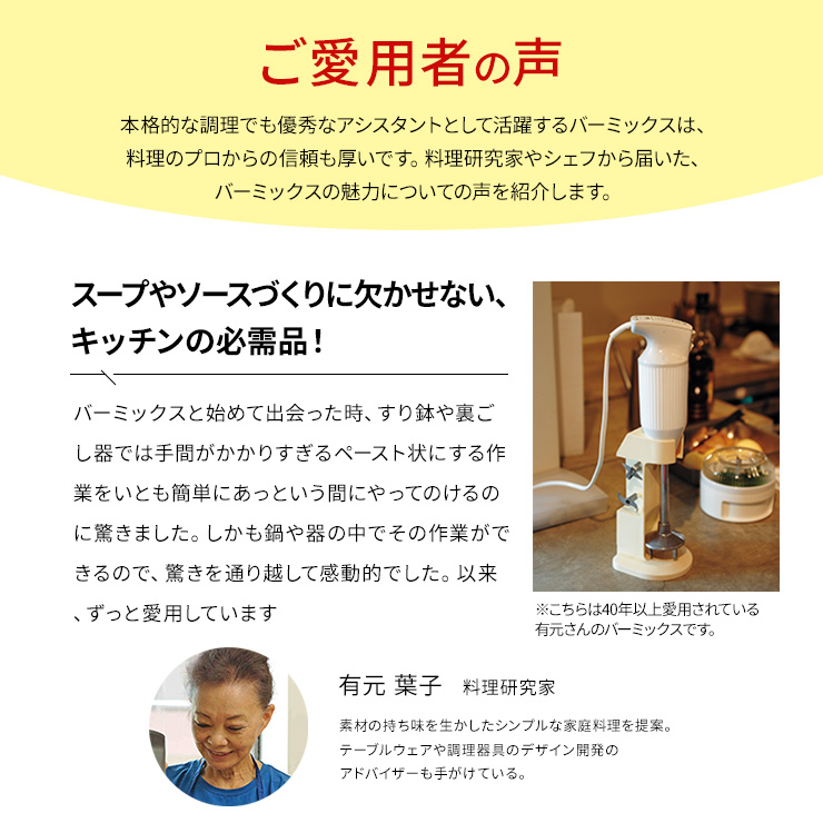 bamix/バーミックス クラシック ディノス限定モデル ディノスANAmall店