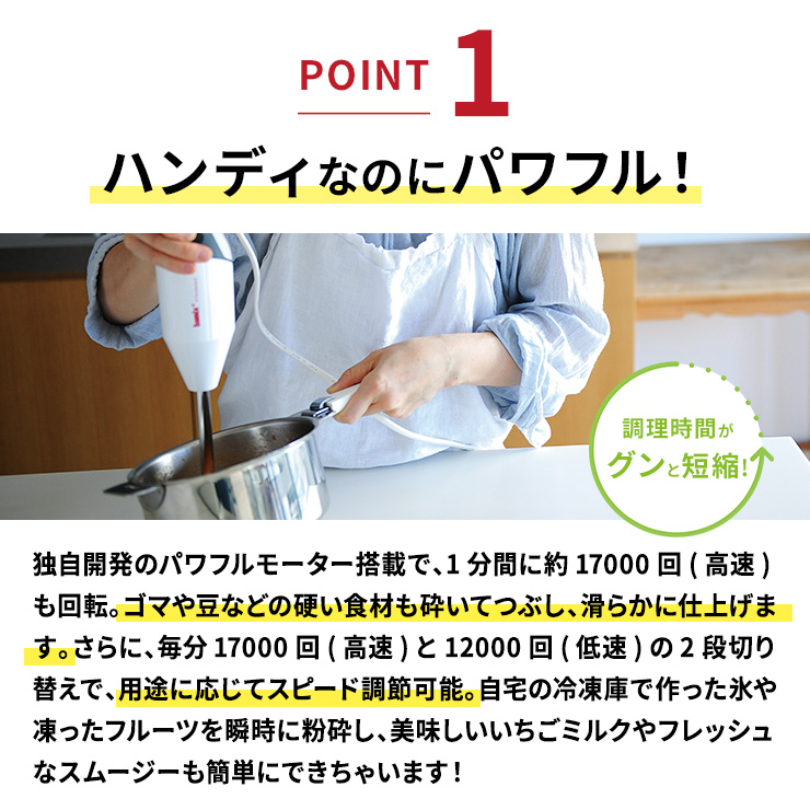bamix/バーミックス クラシック ディノス限定モデル ディノスANAmall店