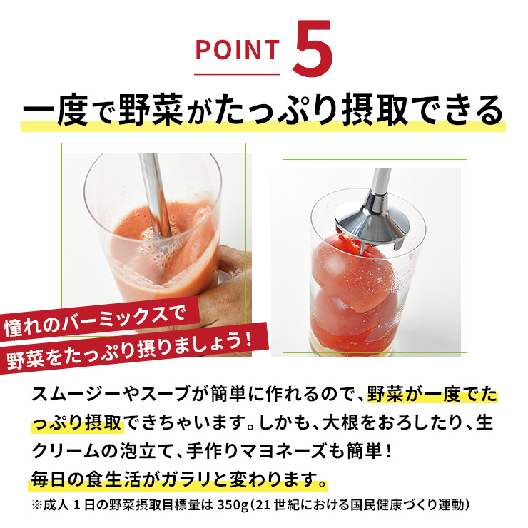 bamix/バーミックス クラシック ディノス限定モデル ディノスANAmall店