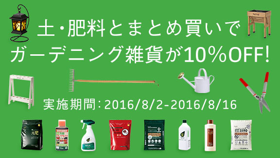 yE엿܂ƂߔŃK[fjOG݂10OFF!