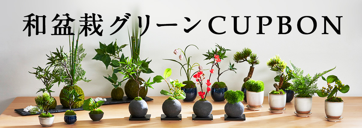 「盆栽を気軽に楽しむ　CUPBON」日本古来の美意識を「今」の感覚でデザインした和モダンのアーティフィシャルグリーン。和の趣き漂う藍色、美濃焼、消臭機能付き竹炭ボールで癒しの空間を。