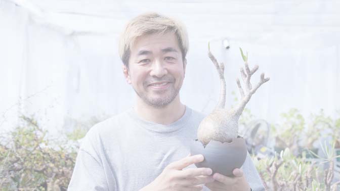 次のストーリ