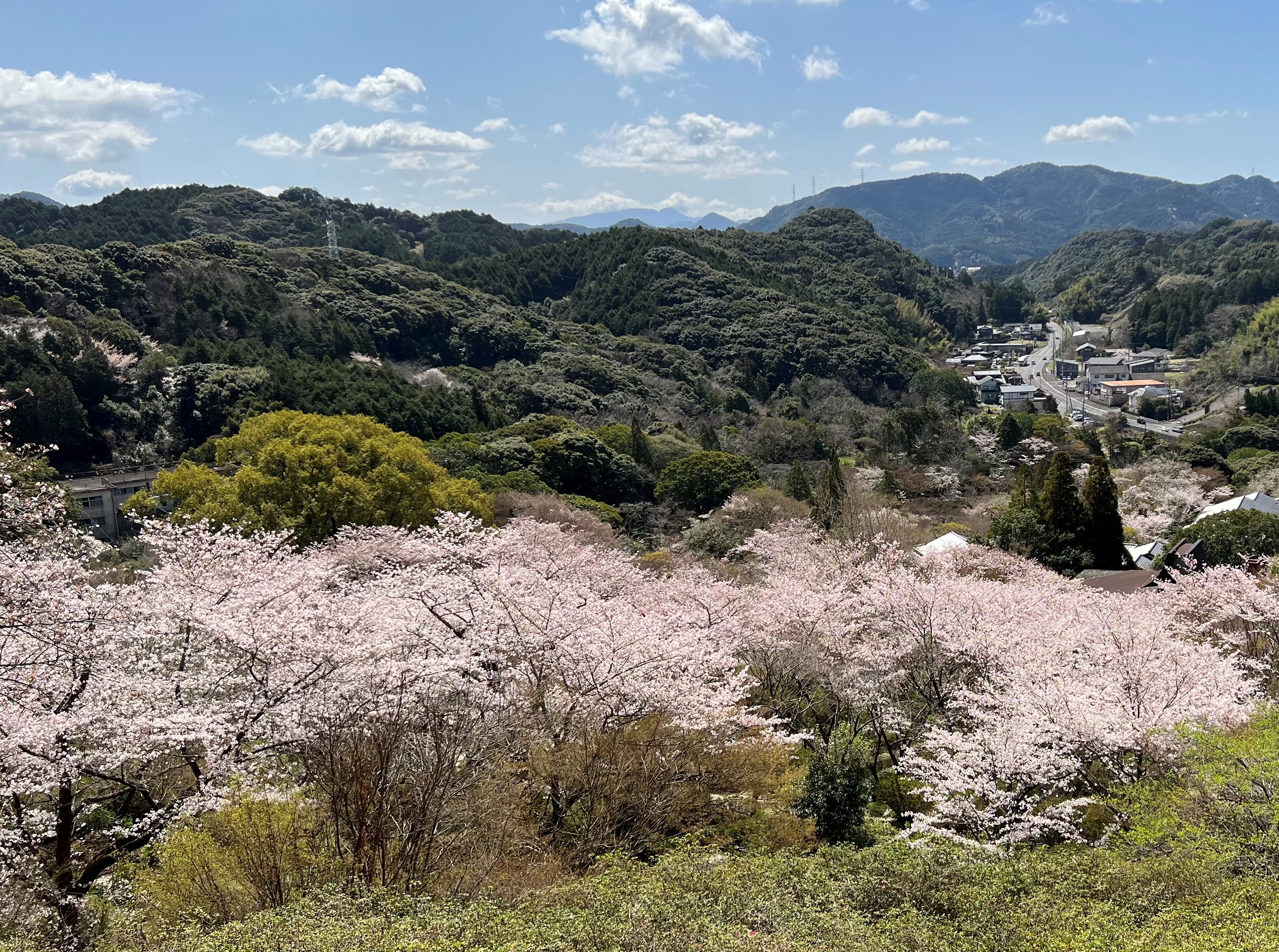 サウナと外気浴