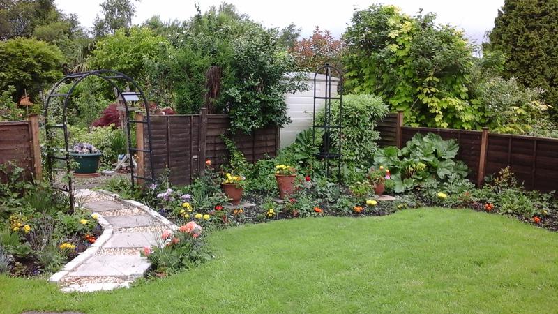 2016-06-19 12.33.54.jpg