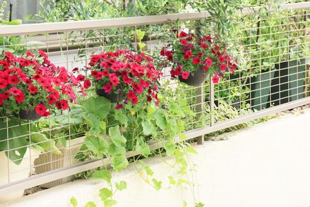 お庭を美しく見せるための植え方 飾り方 並べて楽しむ Bloom In My Garden 緑ある暮らしのススメ