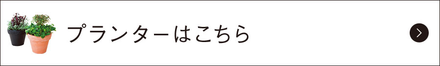 プランターはこちら